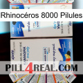 Rhinocéros 8000 Pilules kamagra1